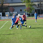 Fotka nr 4 z 33