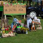 zdjęcie nr 26