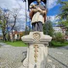 zdjęcie nr 7
