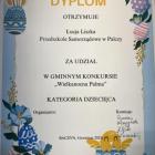 zdjęcie nr 9