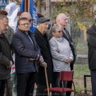 zdjęcie nr 18