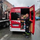 Fotka nr 3 z 11