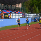 Fotka nr 2 z 81