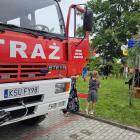Fotka nr 2 z 13