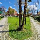 zdjęcie nr 33