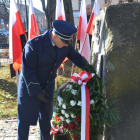 zdjęcie nr 28