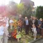 zdjęcie nr 29
