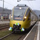 Fotka nr 5 z 22