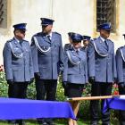 zdjęcie nr 14
