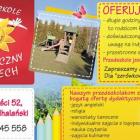 zdjęcie nr 7