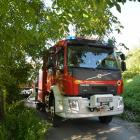 Fotka nr 2 z 4