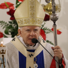 zdjęcie nr 22