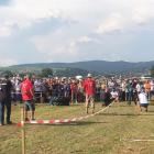 zdjęcie nr 8