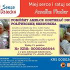Fotka nr 1 z 3