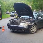 Fotka nr 2 z 4