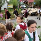 zdjęcie nr 8