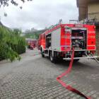 Fotka nr 2 z 4