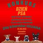 Fotka nr 3 z 5