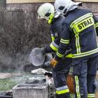 Fotka nr 2 z 10