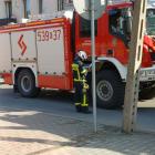 Fotka nr 2 z 7