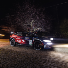 Fotka nr 5 z 10