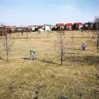 zdjęcie nr 18