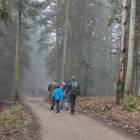 zdjęcie nr 19