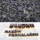 Fotka nr 3 z 4