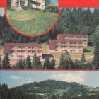 Fotka nr 1 z 4