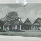 zdjęcie nr 8