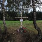 zdjęcie nr 11