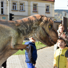 zdjęcie nr 20