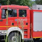 Fotka nr 4 z 8