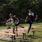 zdjęcie nr 19