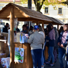 zdjęcie nr 65