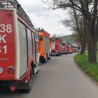 Fotka nr 2 z 4