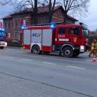 Fotka nr 4 z 5