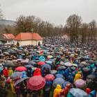zdjęcie nr 141
