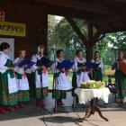 zdjęcie nr 253