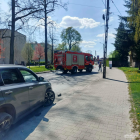 Fotka nr 4 z 7