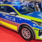Fotka nr 1 z 2