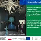 Wizaalizacja: Konsorcjum firm - Pracownia Projektowa JKM mgr. inż. arch. Jacek Majewski...