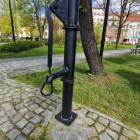 zdjęcie nr 17