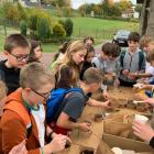 zdjęcie nr 65