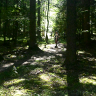 zdjęcie nr 51