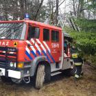 Fotka nr 5 z 8