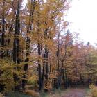 zdjęcie nr 30