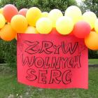 zdjęcie nr 13