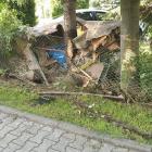 Fotka nr 4 z 5