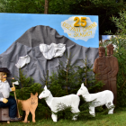 zdjęcie nr 35